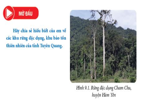 Bài giảng Giáo dục địa phương Lớp 7 - Tiết 31, Chủ đề 9: Bảo vệ và sử dụng bền vũng tài nguyên rừng ở tỉnh Tuyên Quang