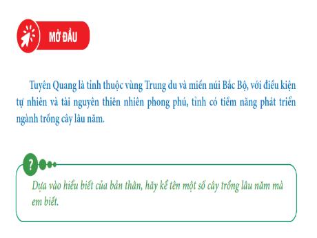 Bài giảng Giáo dục địa phương Lớp 8 - Tiết 21, Chủ đề 7: Ngành trồng cây lâu năm ở tỉnh Tuyên Quang