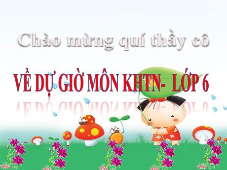 Bài giảng Khoa học tự nhiên Lớp 6 Sách Kết nối tri thức - Bài 5: Đo chiều dài