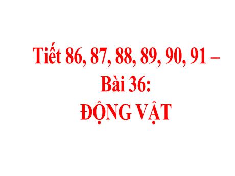 Bài giảng Khoa học tự nhiên Lớp 6 Sách Kết nối tri thức - Chương 7 - Bài 36: Động vật