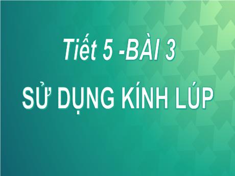 Bài giảng Khoa học tự nhiên Lớp 6 Sách Kết nối tri thức - Tiết 5, Bài 3: Sử dụng kính lúp