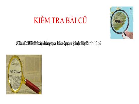 Bài giảng Khoa học tự nhiên Lớp 6 Sách Kết nối tri thức - Tiết 6+7, Bài 4: Sử dụng kính hiển vi quang học
