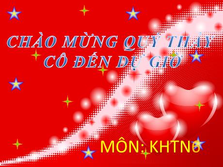 Bài giảng Khoa học tự nhiên Lớp 6 Sách Kết nối tri thức - Tiết 128+129+130, Bài 52: Chuyển động nhìn thấy của mặt trời. Thiên thể