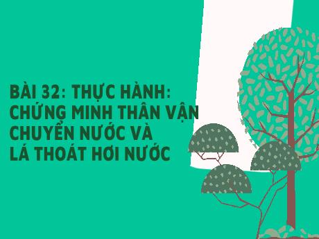 Bài giảng Khoa học tự nhiên Lớp 7 Sách Kết nối tri thức - Bài 32: Thực hành chứng minh thân vận chuyển nước và lá thoát hơi nước