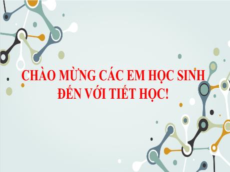 Bài giảng Khoa học tự nhiên Lớp 7 Sách Kết nối tri thức - Tiết 87, Bài 24: Thực hành chứng minh quang hợp ở cây xanh