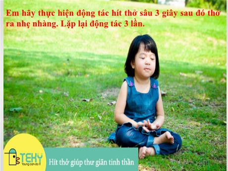 Bài giảng Khoa học tự nhiên Lớp 7 Sách Kết nối tri thức - Tiết 96, Bài 28: Trao đổi khí ở sinh vật