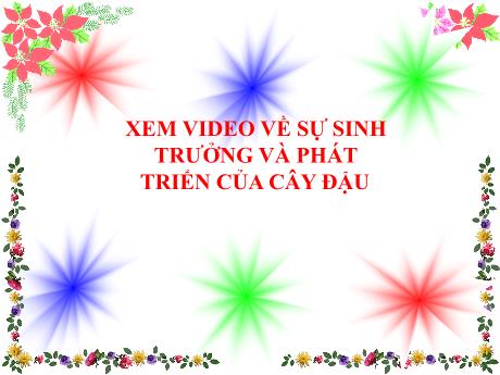 Bài giảng Khoa học tự nhiên Lớp 7 Sách Kết nối tri thức - Tiết 90, Bài 25: Hô hấp tế bào