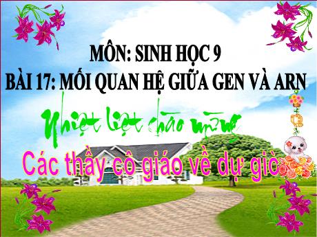 Bài giảng Khoa học tự nhiên Lớp 9 - Phần: Sinh học - Bài 17: Mối quan hệ giữa gen và ARN