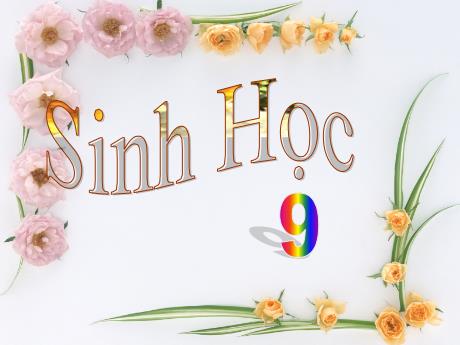 Bài giảng Khoa học tự nhiên Lớp 9 - Phần: Sinh học - Bài 32: Công nghệ gen