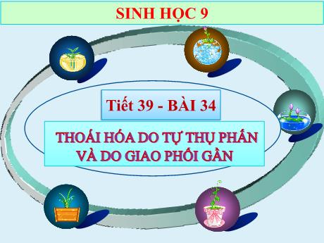 Bài giảng Khoa học tự nhiên Lớp 9 - Phần: Sinh học - Bài 34: Thoái hóa do tự thụ phấn và do giao phối gần