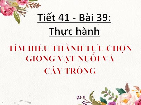 Bài giảng Khoa học tự nhiên Lớp 9 - Phần: Sinh học - Bài 39: Thực hành tìm hiểu thành tựu chọn giống vật nuôi và cây trồng