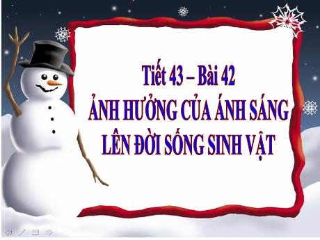 Bài giảng Khoa học tự nhiên Lớp 9 - Phần: Sinh học - Bài 42: Ảnh hưởng của ánh sáng lên đời sống sinh vật
