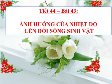 Bài giảng Khoa học tự nhiên Lớp 9 - Phần: Sinh học - Bài 43: Ảnh hưởng của ánh sáng lên đời sống sinh vật
