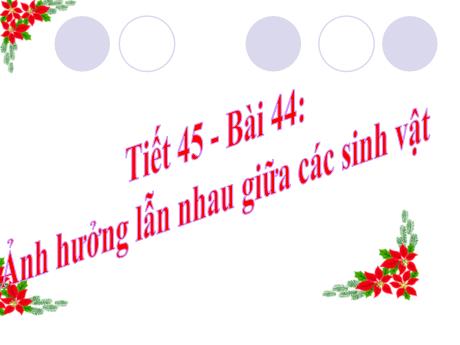 Bài giảng Khoa học tự nhiên Lớp 9 - Phần: Sinh học - Bài 44: Ảnh hưởng lẫn nhau giữa các sinh vật