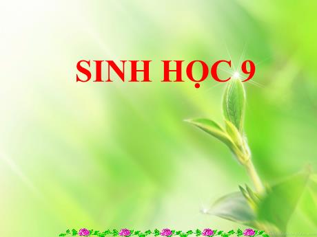 Bài giảng Khoa học tự nhiên Lớp 9 - Phần: Sinh học - Bài 59+60: Khôi phục môi trường và giữ gìn thiên nhiên hoang dã. Bảo vệ đa dạng các hệ sinh thái