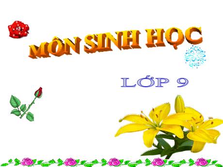 Bài giảng Khoa học tự nhiên Lớp 9 - Phần: Sinh học - Chương 1: Các thí nghiệm của Menđen - Tiết 6+7, Bài 7: Bài tập chương 1
