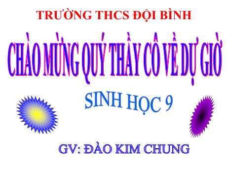 Bài giảng Khoa học tự nhiên Lớp 9 - Phần: Sinh học - Tiết 11, Bài 11: Phát sinh giao tử và thụ tinh - Đào Kim Chung