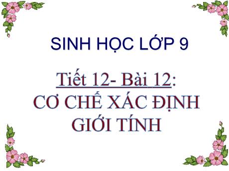 Bài giảng Khoa học tự nhiên Lớp 9 - Phần: Sinh học - Tiết 12, Bài 12: Cơ chế xác định giới tính