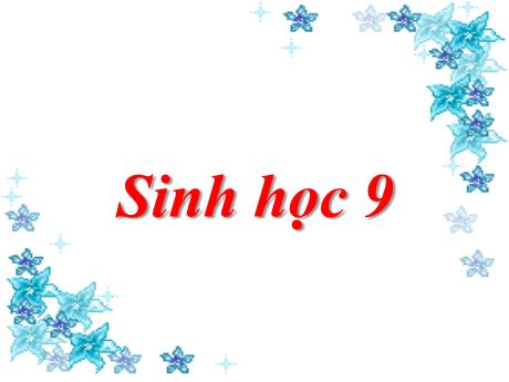 Bài giảng Khoa học tự nhiên Lớp 9 - Phần: Sinh học - Tiết 19, Bài 15: ADN