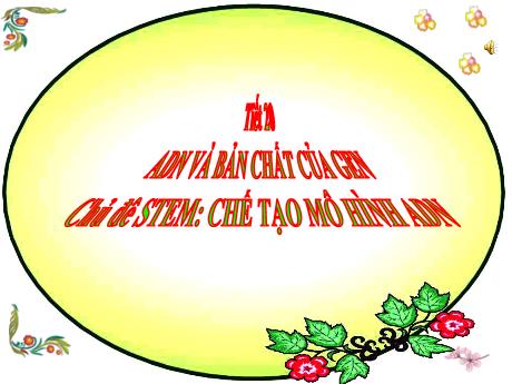 Bài giảng Khoa học tự nhiên Lớp 9 - Phần: Sinh học - Tiết 20, Bài 16: ADN và bản chất của gen