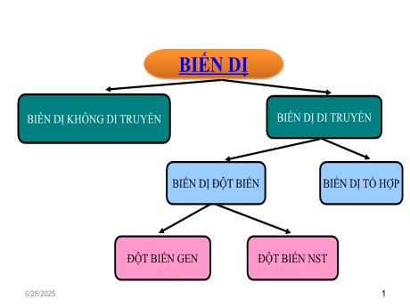 Bài giảng Khoa học tự nhiên Lớp 9 - Phần: Sinh học - Tiết 26, Bài 22: Đột biến cấu trúc nhiễm sắc thể