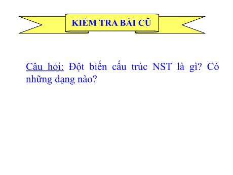 Bài giảng Khoa học tự nhiên Lớp 9 - Phần: Sinh học - Tiết 27, Bài 23: Đột biến số lượng nhiễm sắc thể