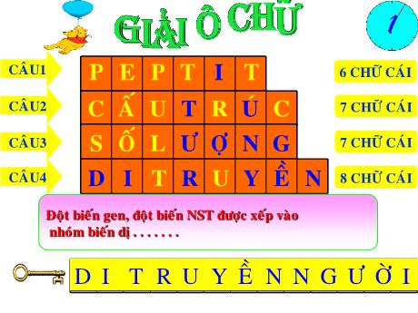 Bài giảng Khoa học tự nhiên Lớp 9 - Phần: Sinh học - Tiết 30, Bài 28: Phương pháp nghiên cứu di truyền người