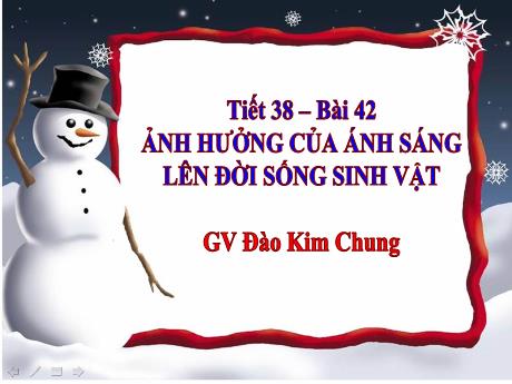 Bài giảng Khoa học tự nhiên Lớp 9 - Phần: Sinh học - Tiết 38, Bài 42: Ảnh hưởng của ánh sáng lên đời sống sinh vật - Đào Kim Chung