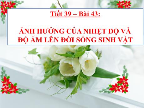 Bài giảng Khoa học tự nhiên Lớp 9 - Phần: Sinh học - Tiết 39, Bài 43: Ảnh hưởng của nhiệt độ và độ ẩm lên đời sống sinh vật