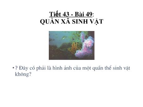Bài giảng Khoa học tự nhiên Lớp 9 - Phần: Sinh học - Tiết 43, Bài 49: Quần xã sinh vật