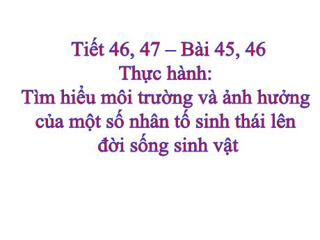 Bài giảng Khoa học tự nhiên Lớp 9 - Phần: Sinh học - Tiết 46+47, Bài 45+46: Thực hành tìm hiểu môi trường và ảnh hưởng của một số nhân tố sinh thái lên đời sống sinh vật