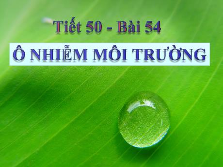 Bài giảng Khoa học tự nhiên Lớp 9 - Phần: Sinh học - Tiết 50, Bài 54: Ô nhiễm môi trường
