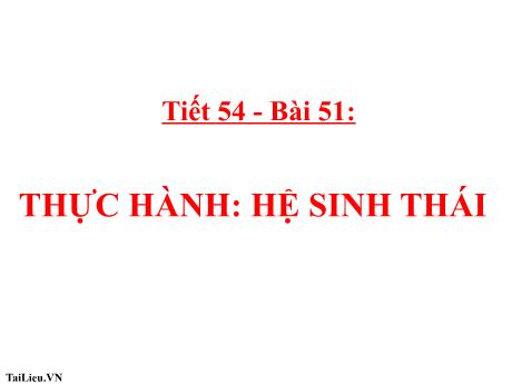 Bài giảng Khoa học tự nhiên Lớp 9 - Phần: Sinh học - Tiết 54, Bài 51: Thực hành hệ sinh thái