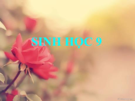 Bài giảng Khoa học tự nhiên Lớp 9 - Phần: Sinh học - Tiết 54, Bài 58: Sử dụng hợp lí tài nguyên thiên nhiên
