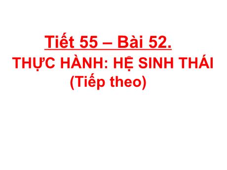 Bài giảng Khoa học tự nhiên Lớp 9 - Phần: Sinh học - Tiết 55, Bài 52: Thực hành hệ sinh thái (Tiếp theo)