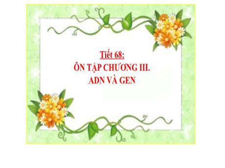 Bài giảng Khoa học tự nhiên Lớp 9 - Phần: Sinh học - Tiết 66: Ôn tập chương 3