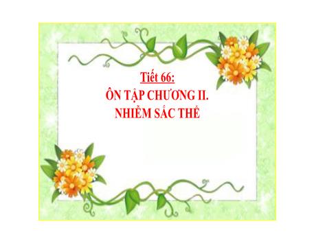 Bài giảng Khoa học tự nhiên Lớp 9 - Phần: Sinh học - Tiết 66: Ôn tập chương 2