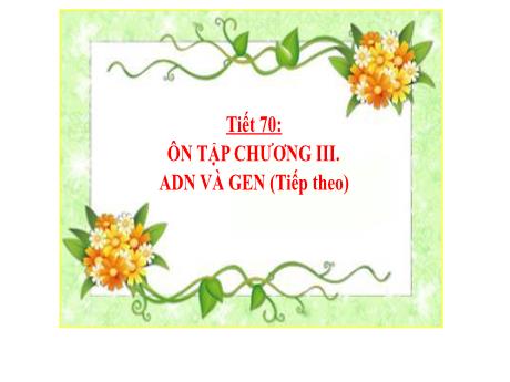 Bài giảng Khoa học tự nhiên Lớp 9 - Phần: Sinh học - Tiết 70: Ôn tập chương 3 (Tiếp theo)