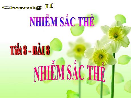 Bài giảng Khoa học tự nhiên Lớp 9 - Phần: Sinh học - Tiết 8, Bài 8: Nhiễm sắc thể