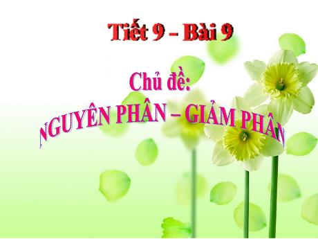 Bài giảng Khoa học tự nhiên Lớp 9 - Phần: Sinh học - Tiết 9, Bài 9: Nguyên phân. Giảm phân