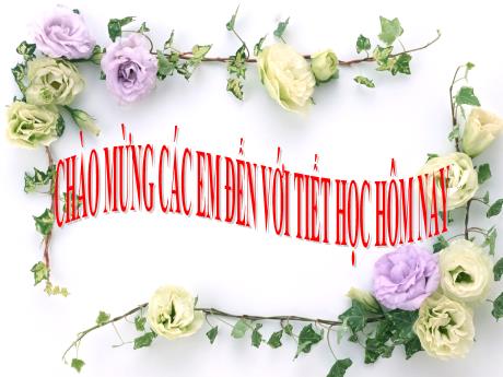 Bài giảng môn Khoa học tự nhiên Lớp 9 - Phần: Sinh học - Tiết 23, Bài 19: Mối quan hệ giữa gen và tính trạng