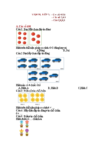 54 Câu hỏi ôn tập Vioedu môn Toán Lớp 1