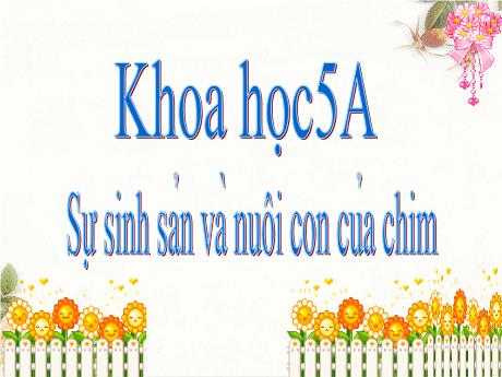 Bài giảng Khoa học 5 - Bài 58: Sự sinh sản và nuôi con của chim - Trường Tiểu học Lý Học