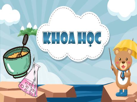 Bài giảng Khoa học 5 - Bài: Hỗn hợp và dung dịch