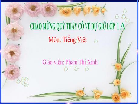 Bài giảng Tiếng Việt 1 - Bài 30: Ôn tập và kể chuyện - Phạm Thị Xinh