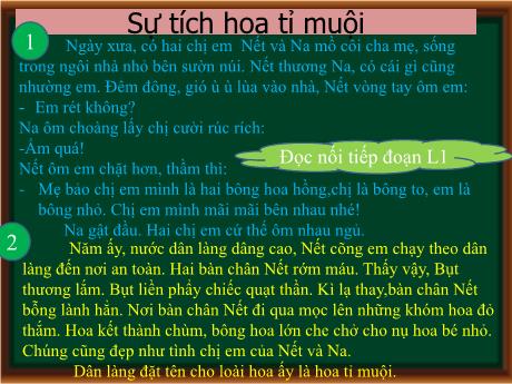 Bài giảng Tiếng Việt 2 - Bài 25: Sự tích hoa tỉ muội