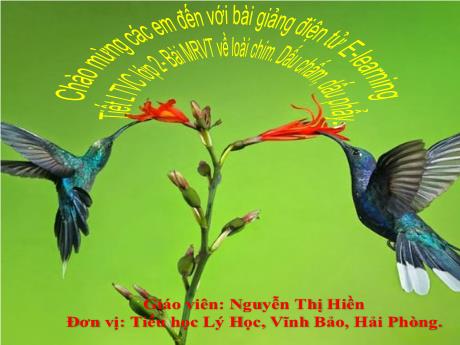 Bài giảng Tiếng Việt 2 - E-leaning (Luyện từ và câu) - Bài: Mở rộng vốn từ về loài chim. Dấu chấm, dấu phẩy - Nguyễn Thị Hiền