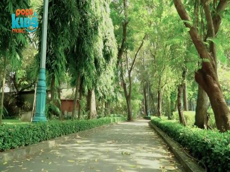 Bài giảng Tiếng Việt 3 (Kết nối tri thức) - Bài: Sông Hương - Nguyễn Thị Hiền
