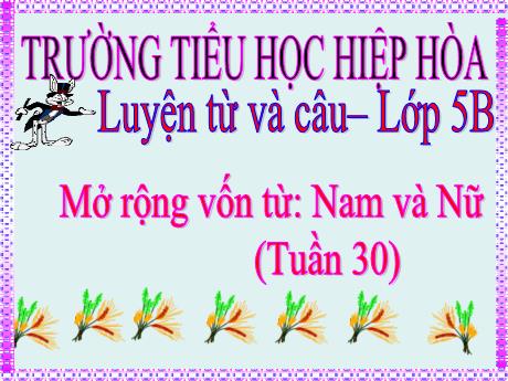 Bài giảng Tiếng Việt 5 (Luyện từ và câu) - Tuần 30 - Bài: Mở rộng vốn từ nam và nữ - Trường tiểu học Hiệp Hòa