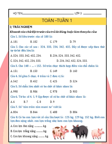 Phiếu bài tập môn Toán Lớp 3 - Tuần 1 - Trường Tiểu học Nhân Hòa